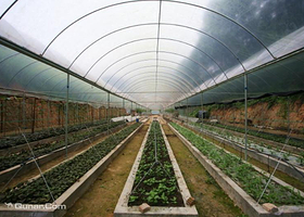 榆中金色隆源生态休闲园