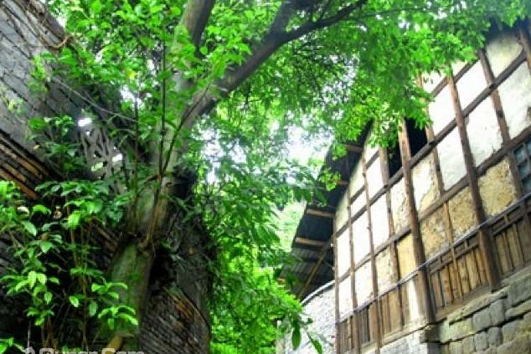 木鱼人家旅游