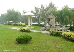 利津黄河生态公园