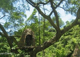 亚马逊原始生态园