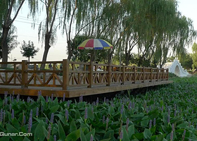 翠湖新景鱼村烧烤