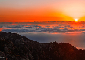 亲子青岛一票通