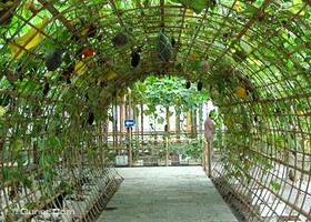 神然生态农业园