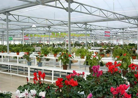 鲁南花卉大世界