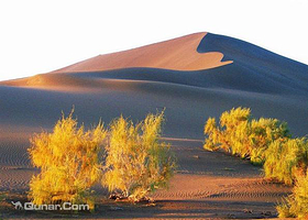 华景园生态旅游观光基地