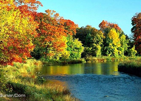 黄捻子森林公园