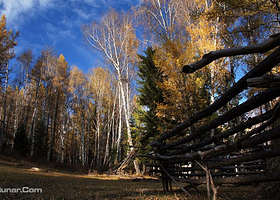 科克逊国际狩猎场
