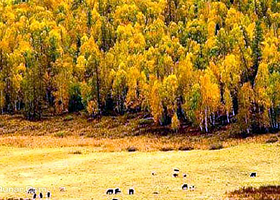 托洪台阳光沙滩