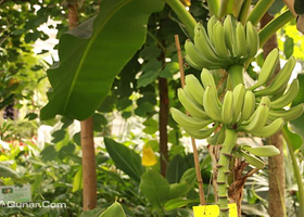 哈尔滨现代农业示范区