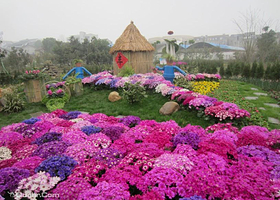 点军江南名花展