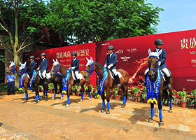 海南鸿洲皇家马术俱乐部