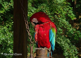 九门口珍禽观光园