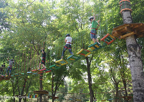 乐仕堡树上穿越主题乐园