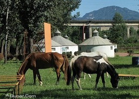 蓝天牧场风景区
