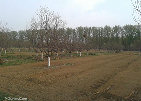 红栌山庄微农场