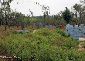 枭镭真人CS（永丰林生态园店）