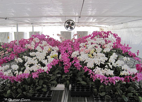 蓝泊湾生态观光园