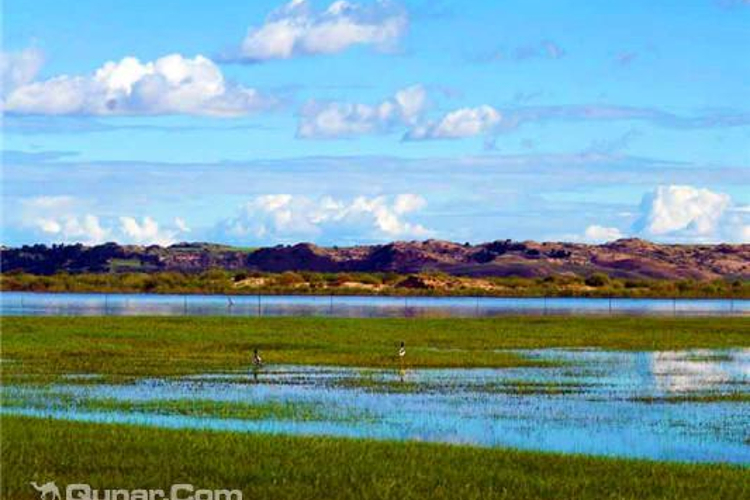 一代天骄中电生态文化景区旅游