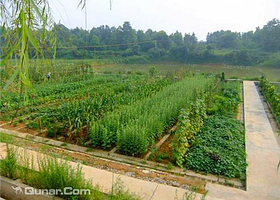 亚心“红豆草”庄园