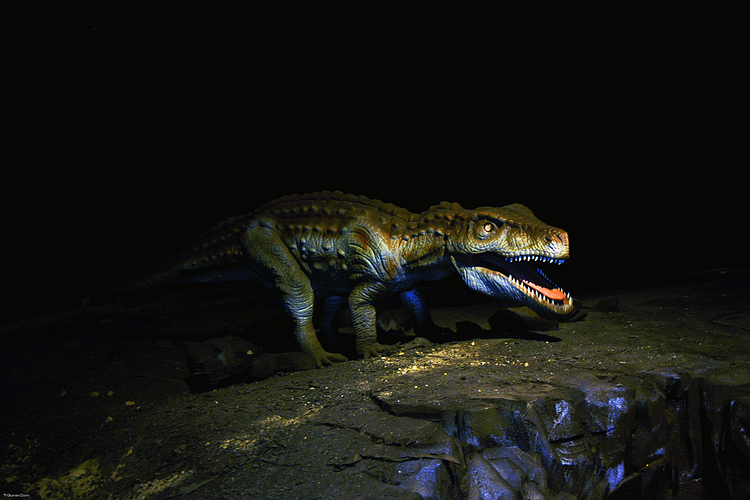 北京历险恐龙岛旅游