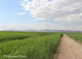 温根塔拉草原旅游区