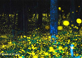 延庆“金蜗牛亲子音乐生活节”