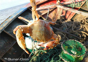 海边人家渔家乐