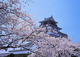 体验不一样的京都-骑行游京都