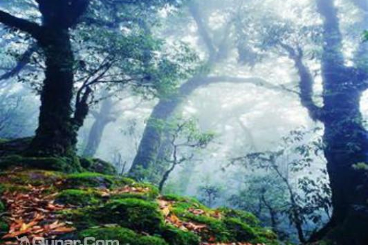 哀牢山红河谷旅游景区旅游