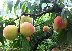 杭州大观山农业生态园