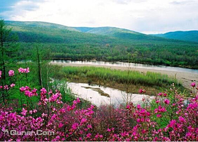 大兴安岭呼中白山风景区