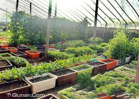 石家庄森泰庄园