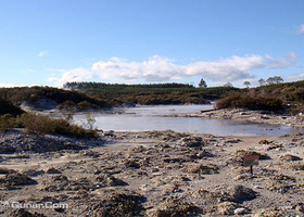 地狱门地热公园泥巴泉浴