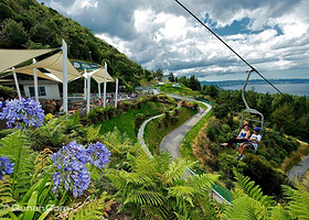 罗托鲁瓦滑道小车