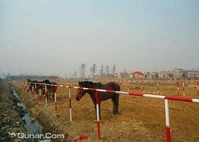 蟠桃盛会生态园