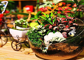 YohoKeon唷呵DIY生态坊