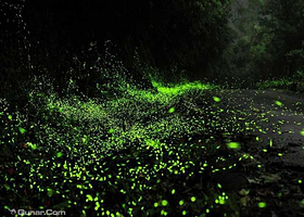 苏州萤火虫主题园