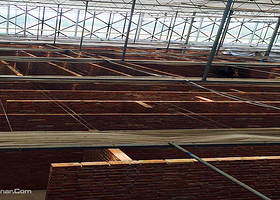 唐山诸葛八卦迷宫