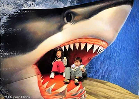 徐州阳阳3D4D魔幻艺术展