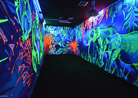 幻觉森林3D魔幻馆画展