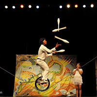 暹粒马戏团表演（The Cambodian Circus）