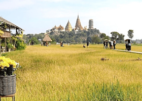 田野咖啡馆-Meena Cafe