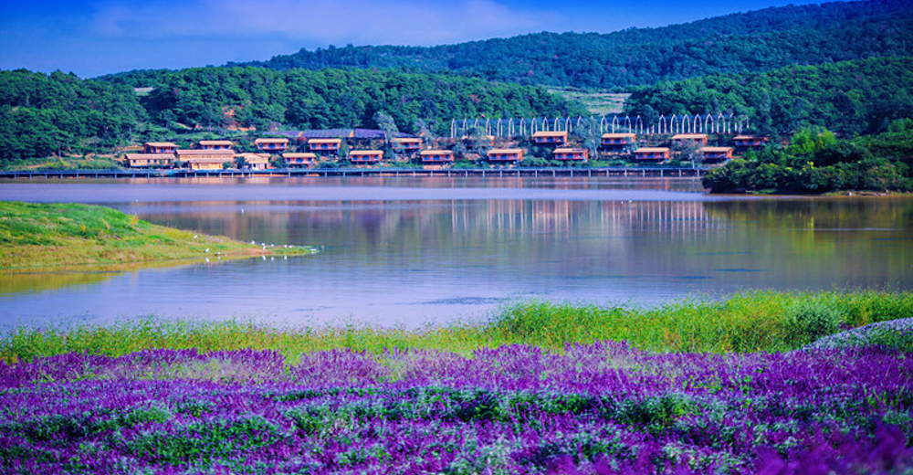 凤龙湾风景区景点图片