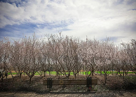 无瓦农场欢乐乡村嘉年华