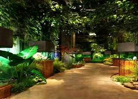 芜湖爱丽茂动物王国