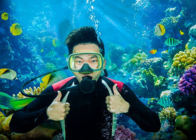 三亚大白鲸潜水俱乐部