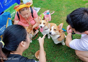 2021天一成都国际宠物博览会（秋季展）