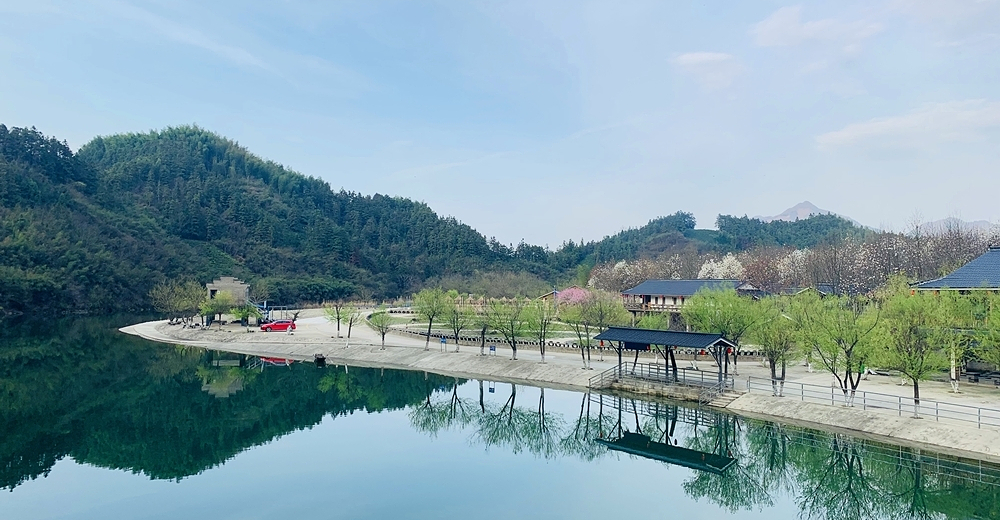 黄山杨家寨景区大门票