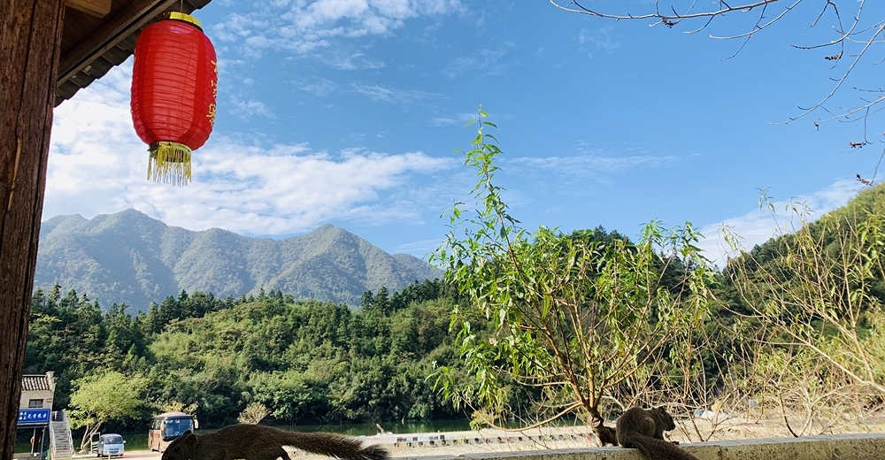 黄山杨家寨景区大门票
