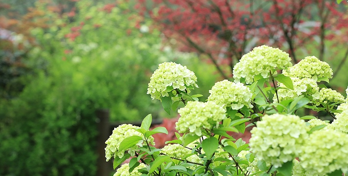 天府花溪谷门票,天府花溪谷门票预订,天府花溪谷门票